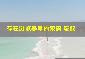 存在浏览器里的密码 获取